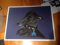 /album/galerie-photos/photo-1662-jpg/